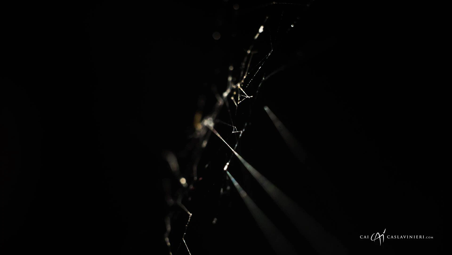Abstrakcja fotograficzna, makro natura
